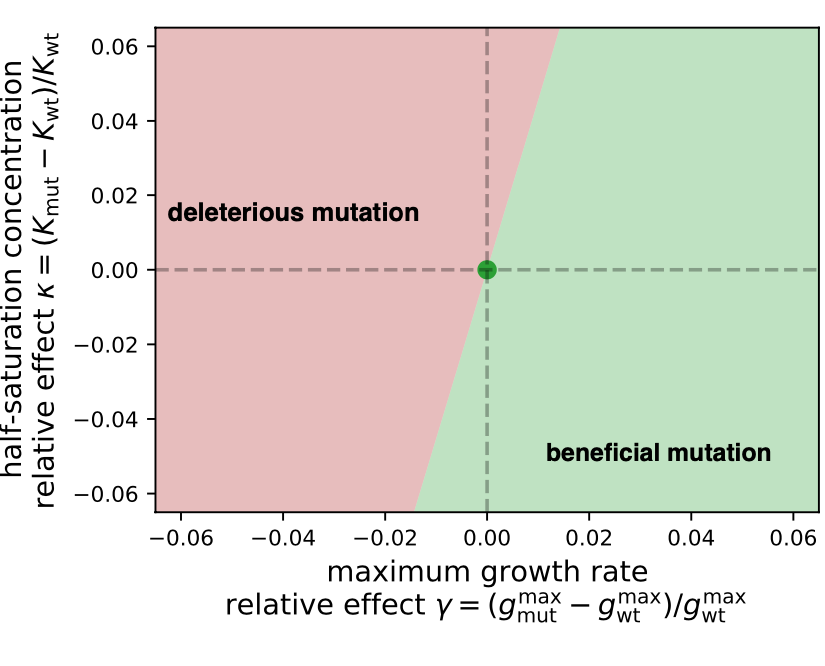 Diagram indicating relationship between half-saturation concentration of a nutrient and the growth rate.